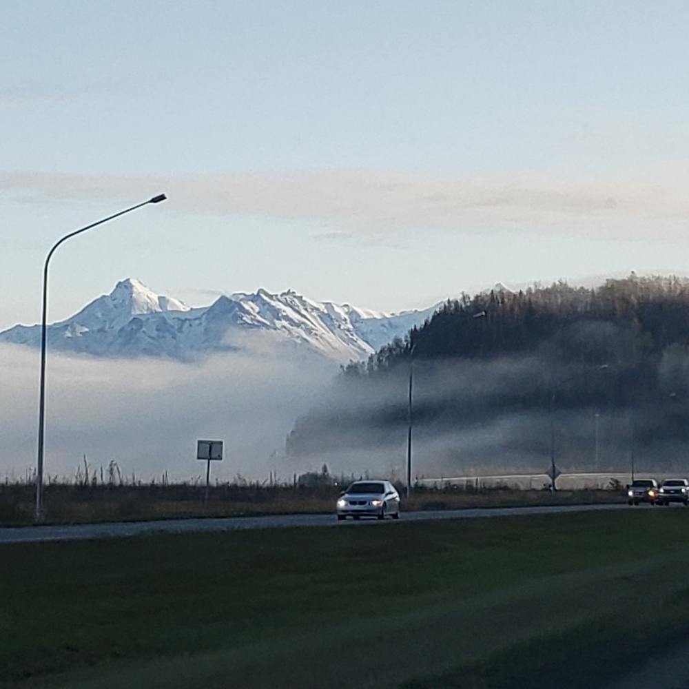 Meet your Posher, Andrea!